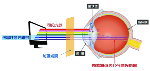 茄子视频免费下载最新科技成果 茄子视频成人成护眼利器